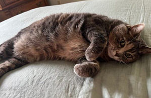 Teien after energy work